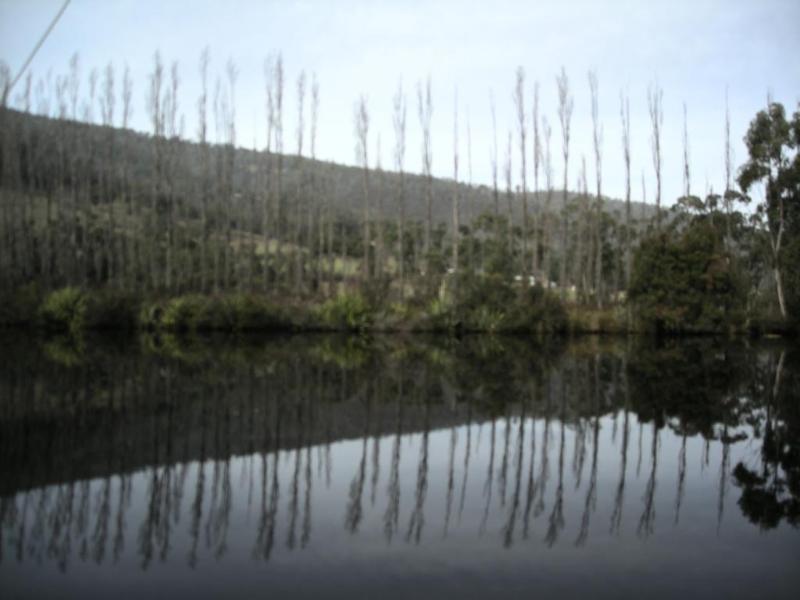 Port Huon Cottages المظهر الخارجي الصورة